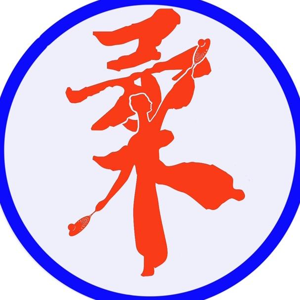 久久星柔力球