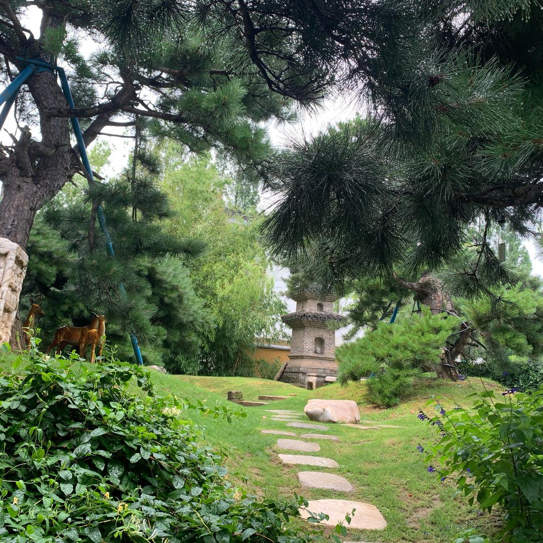 美阳阳吖