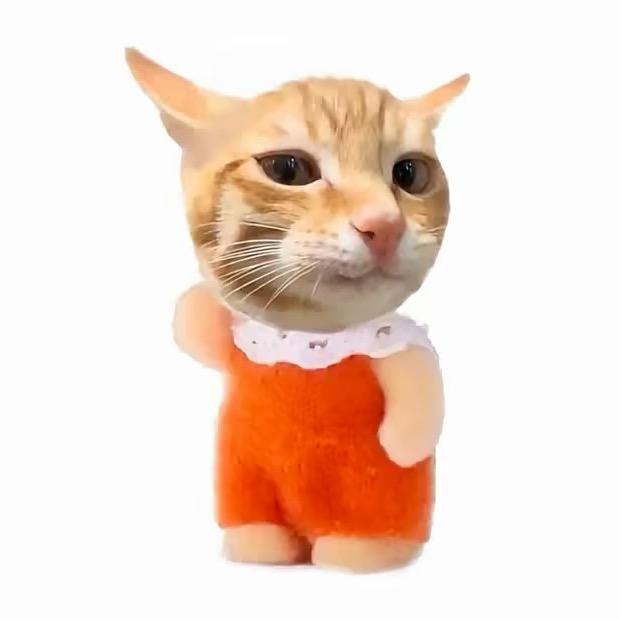 不要冷落我