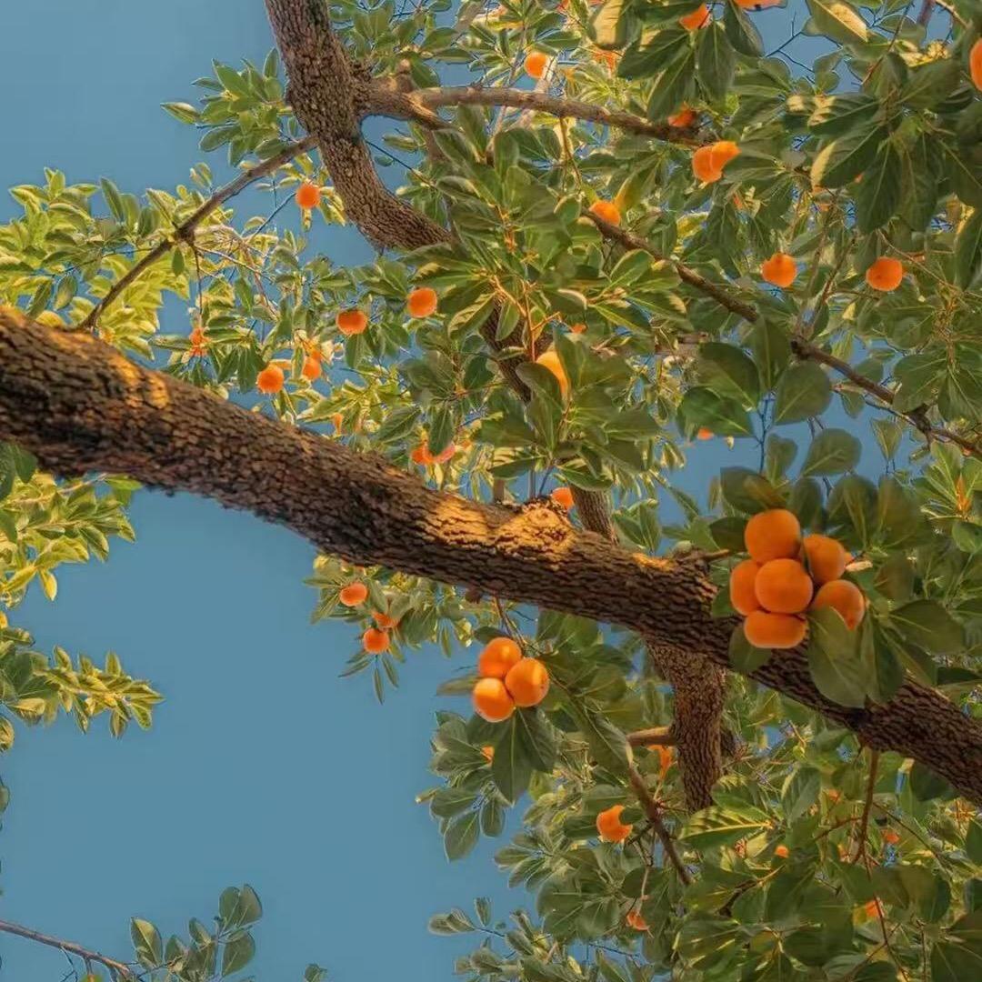 欢乐购厨房百货