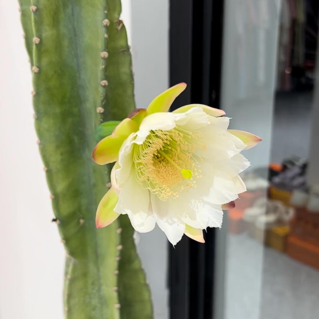 未来可期🍀