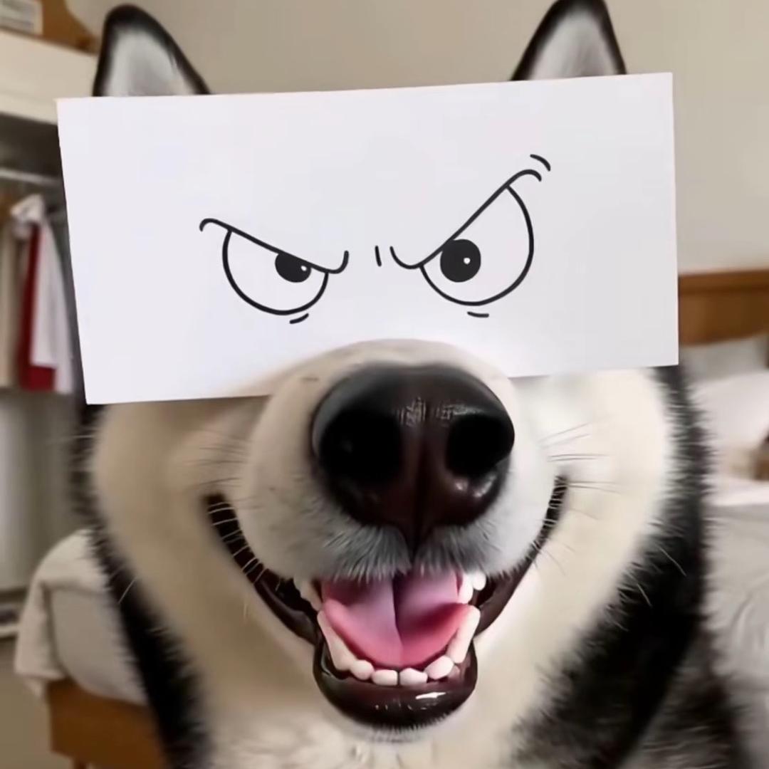 537