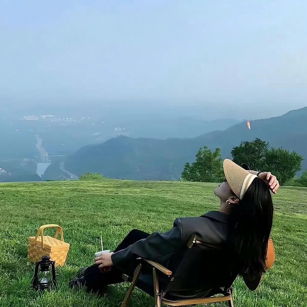 向阳花🌻