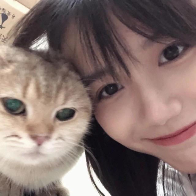 靓女衣橱