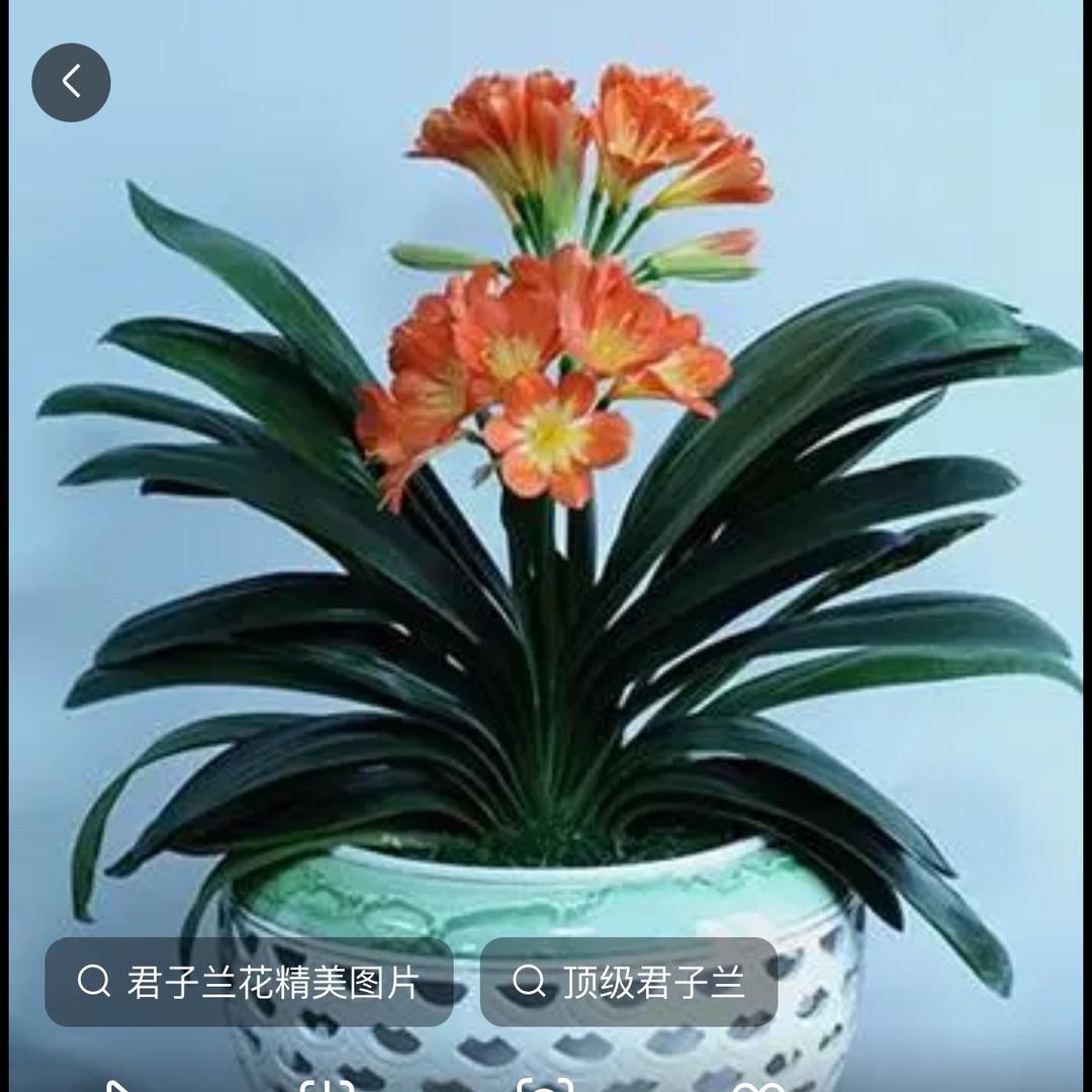 风平浪静