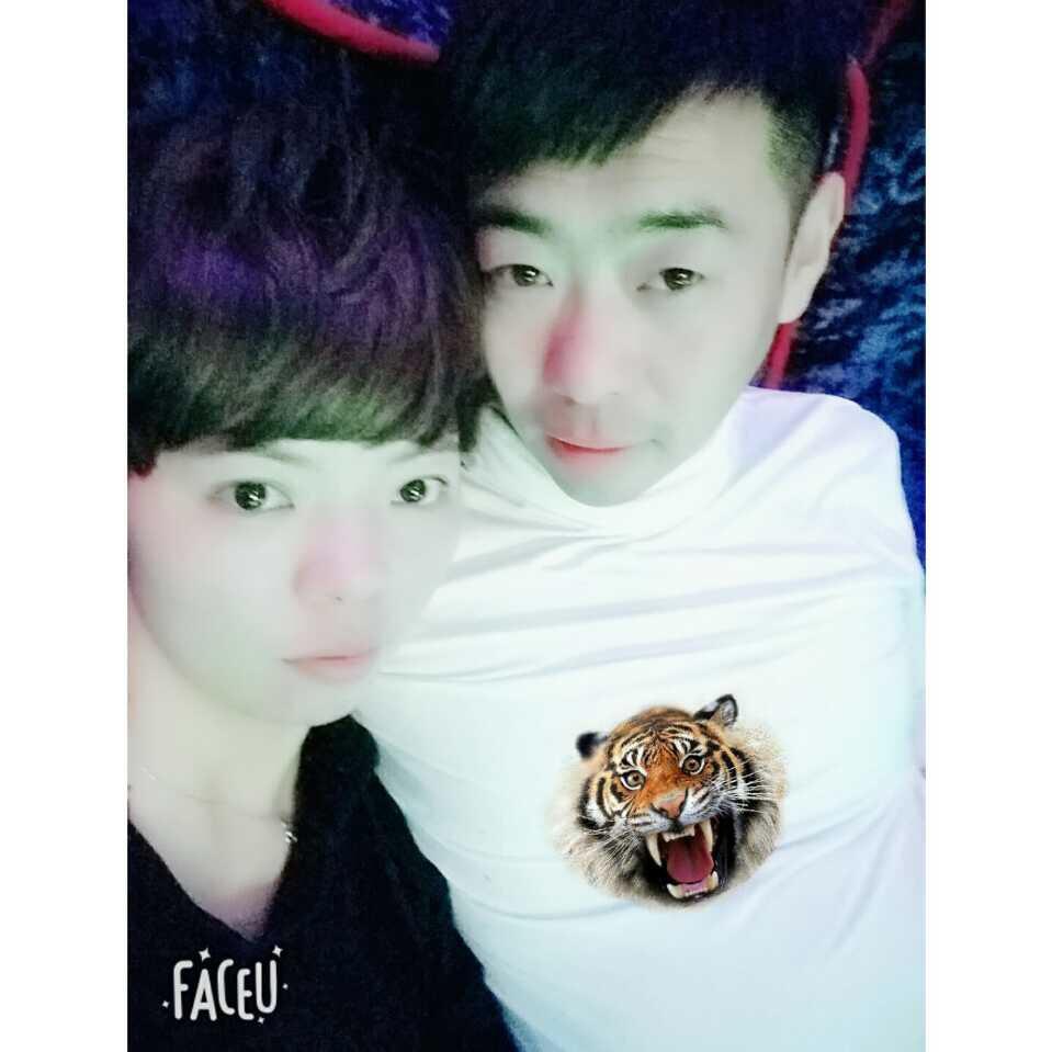 一片叶