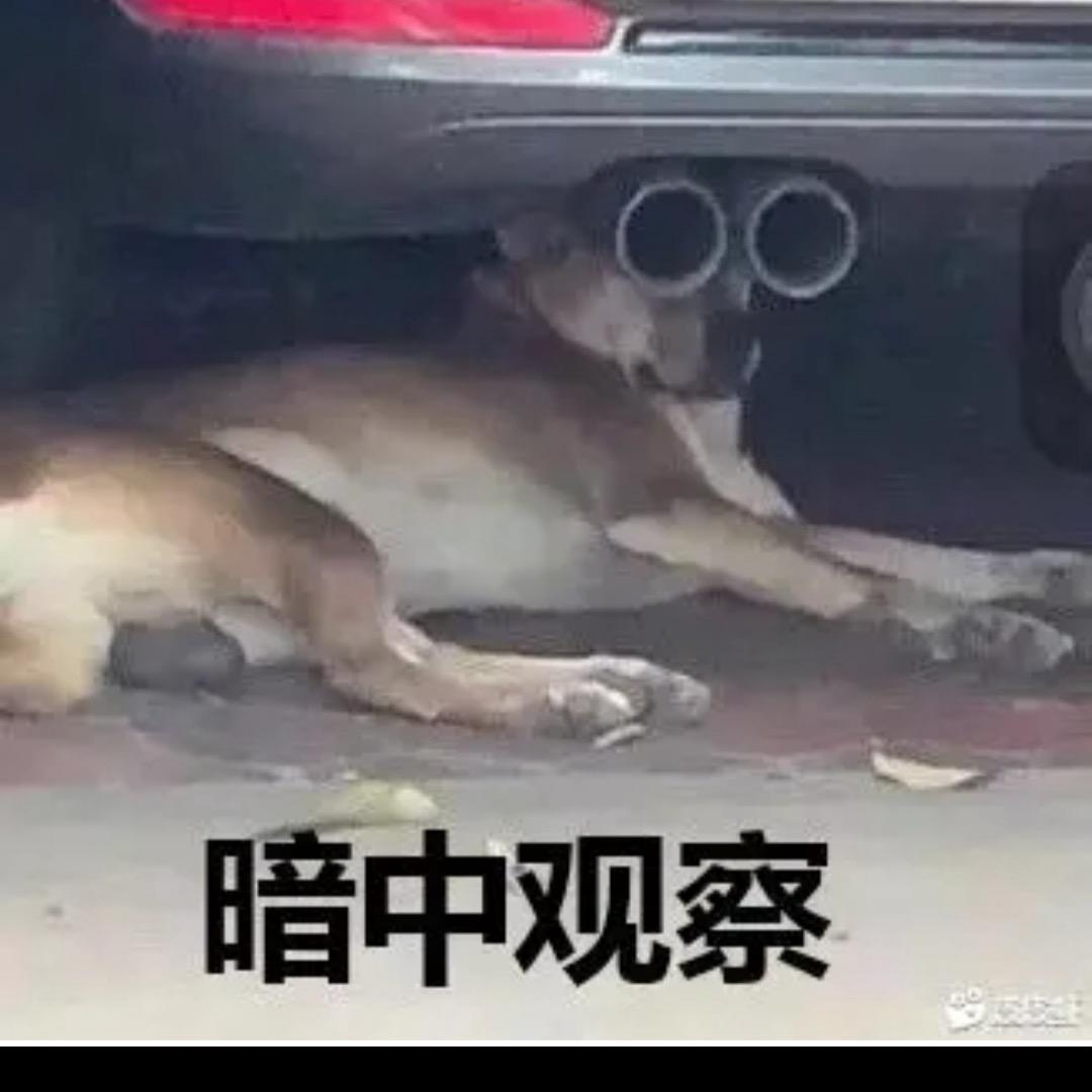 人生何兮