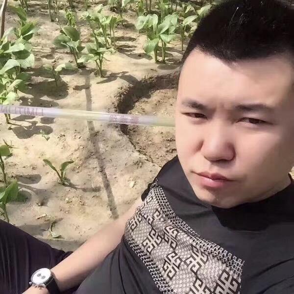 波哥不挑食