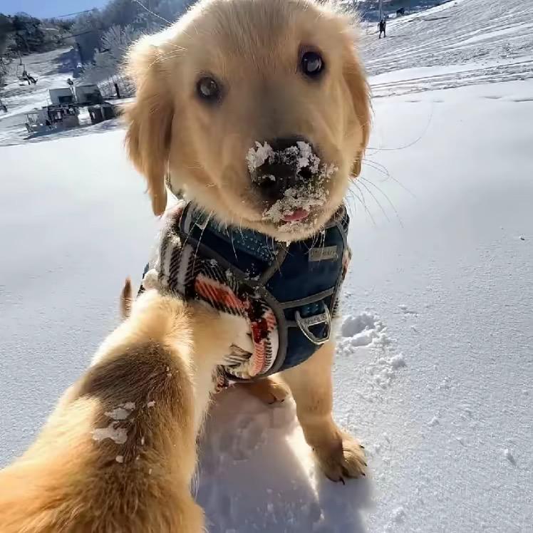 一个无名的彭于晏