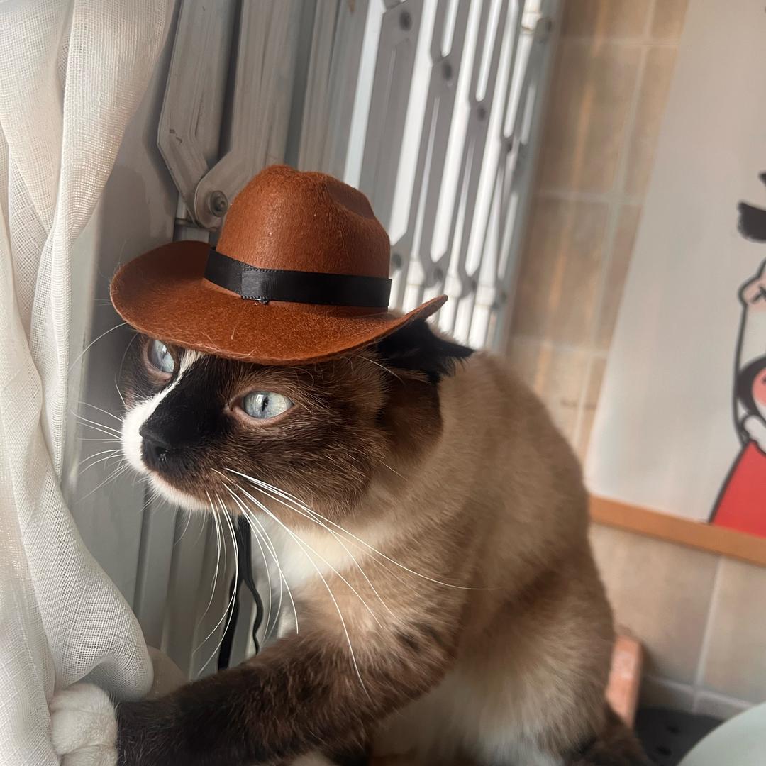 小刘的水深电热（西安水电）