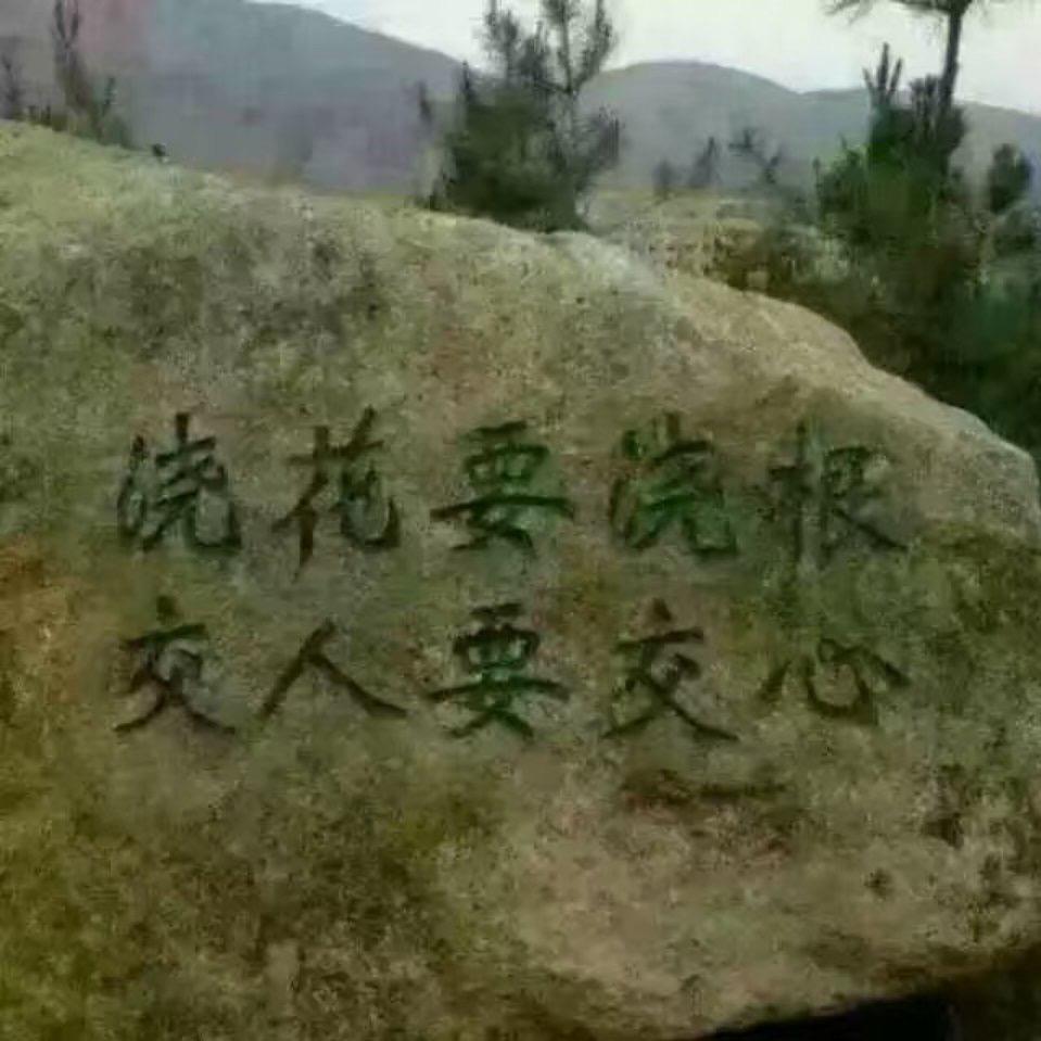 一直在奋斗中生活