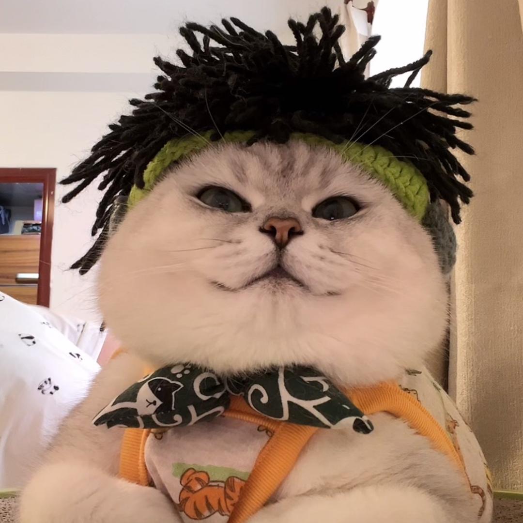 多乐益智积木玩具