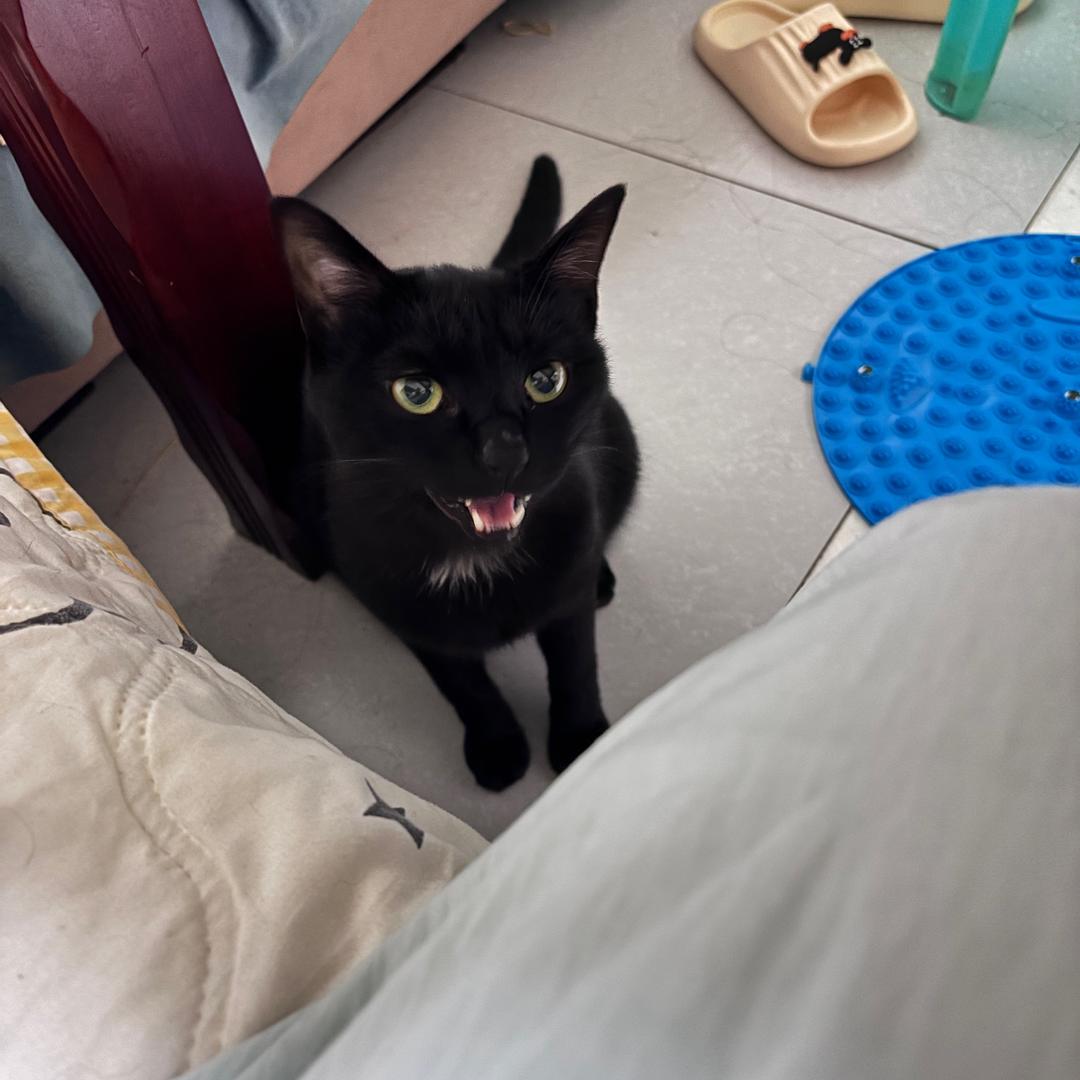 平平无奇的上班者