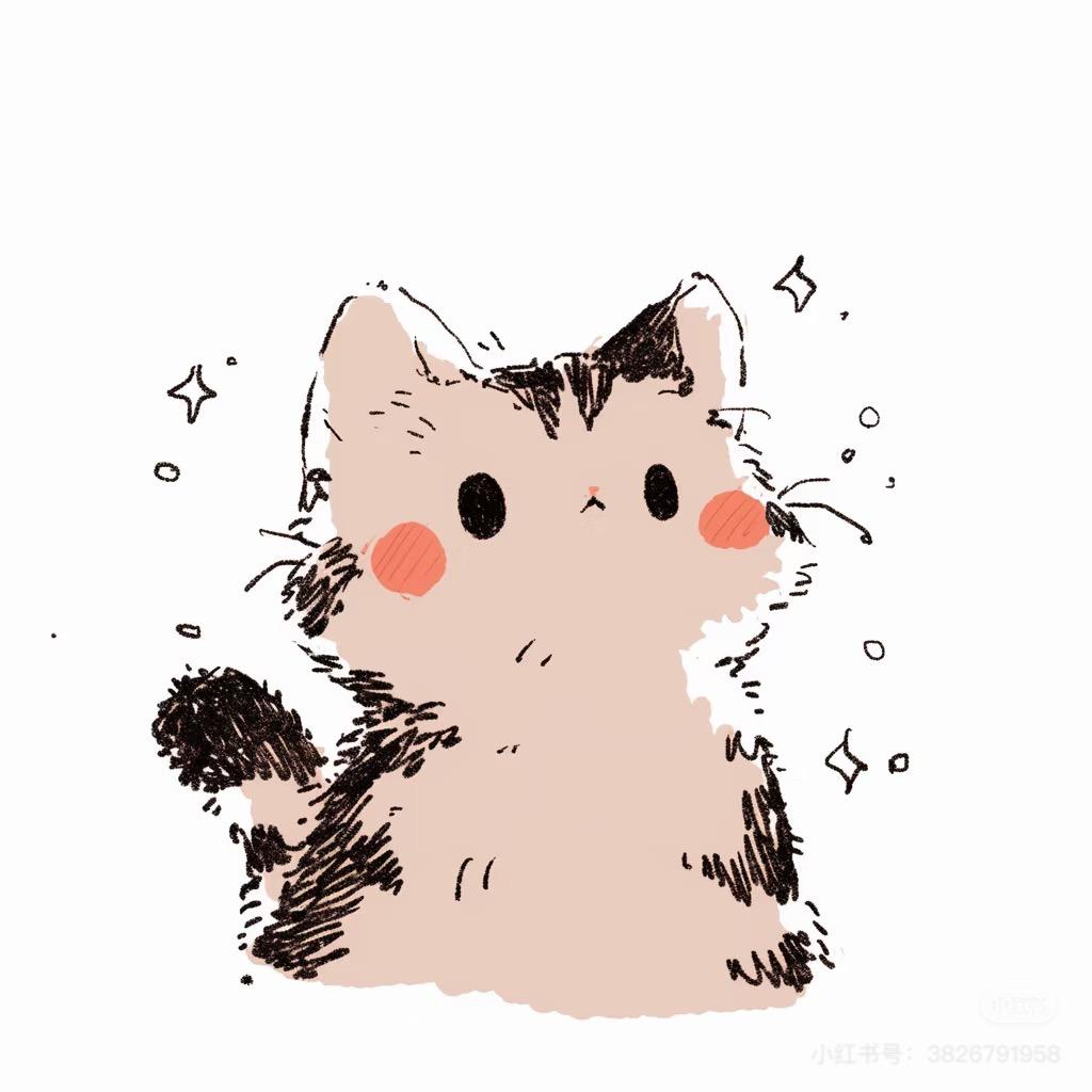 卷菜猫少