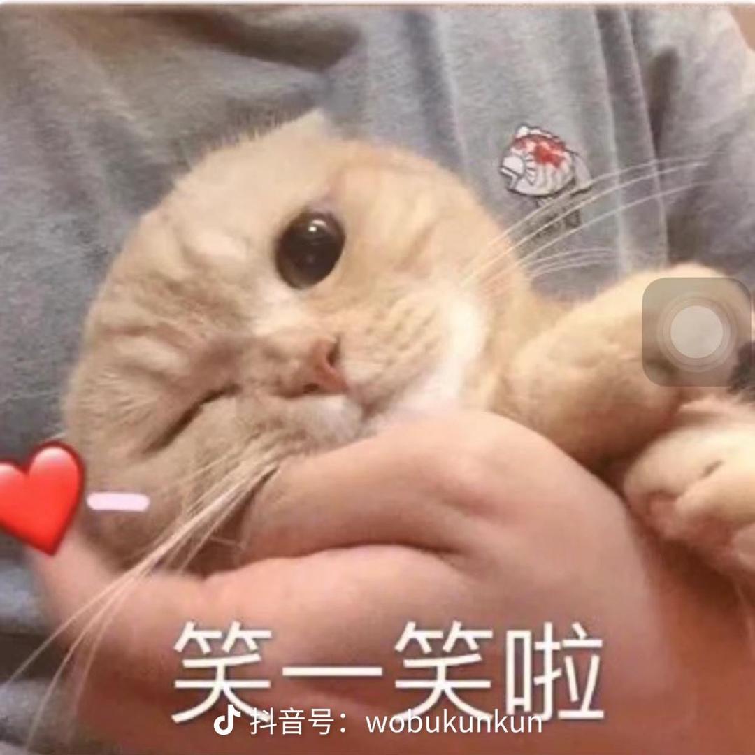 1个米饭团