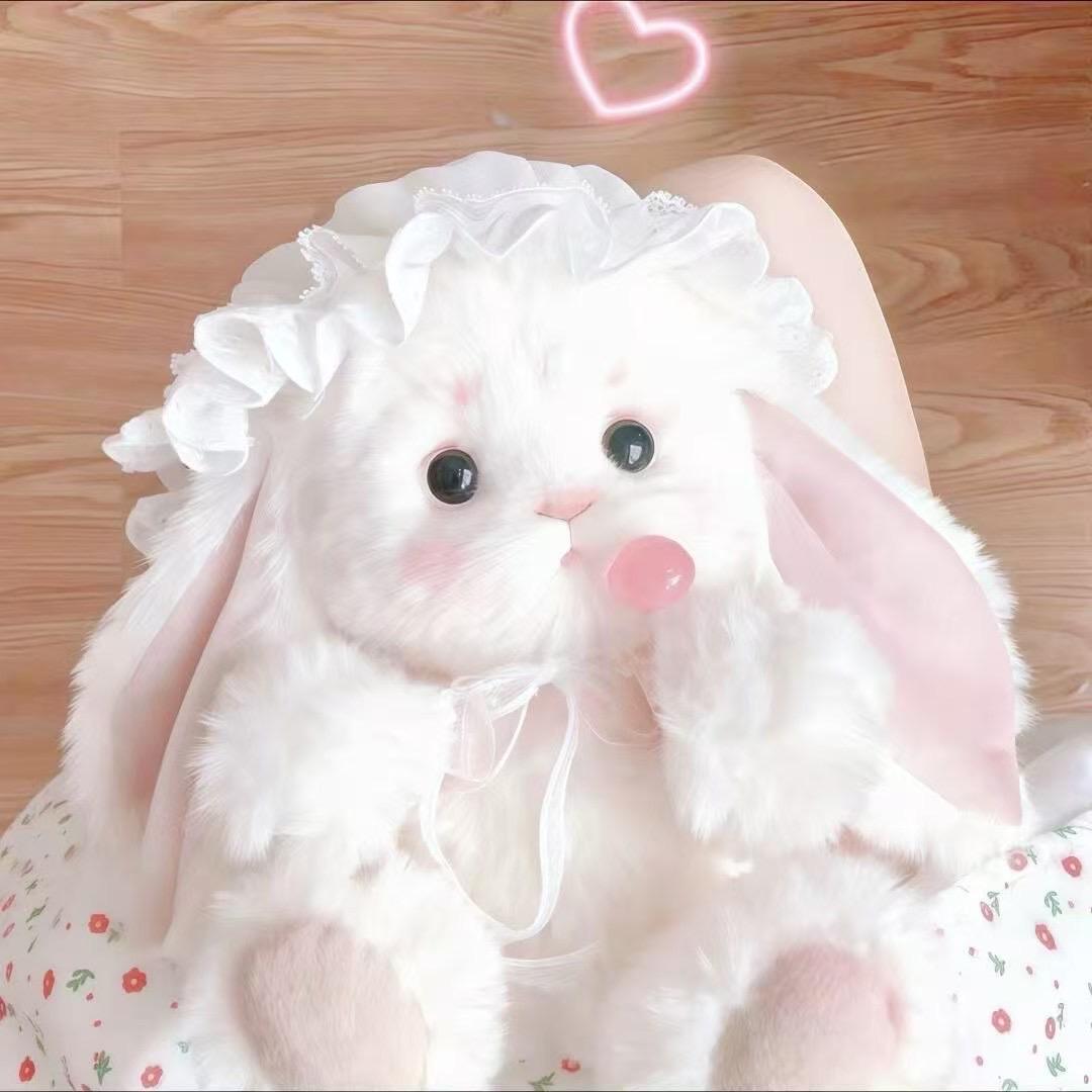 一只小兔纸🐰