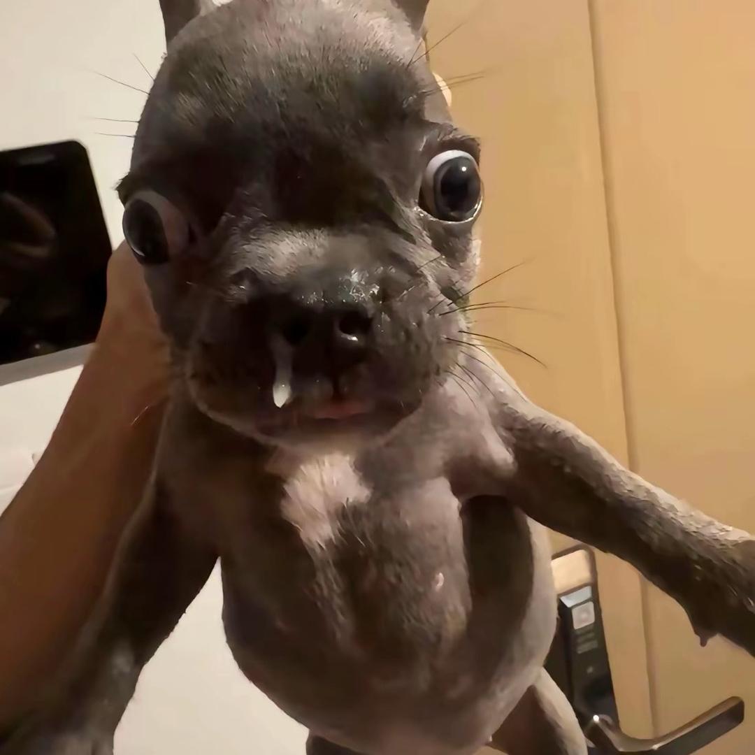 心瘾