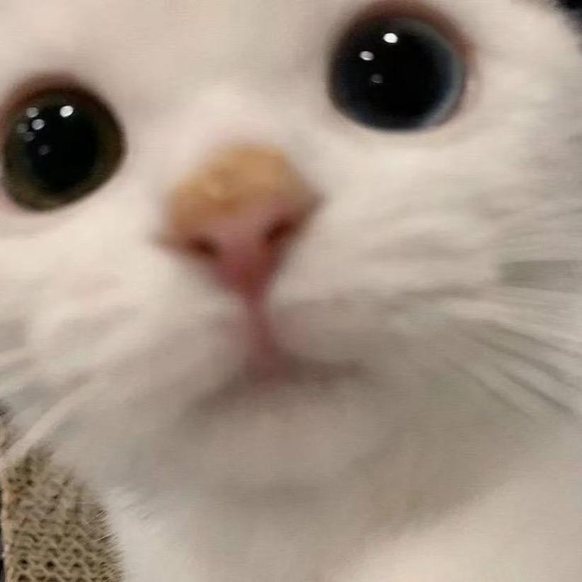 日日优选