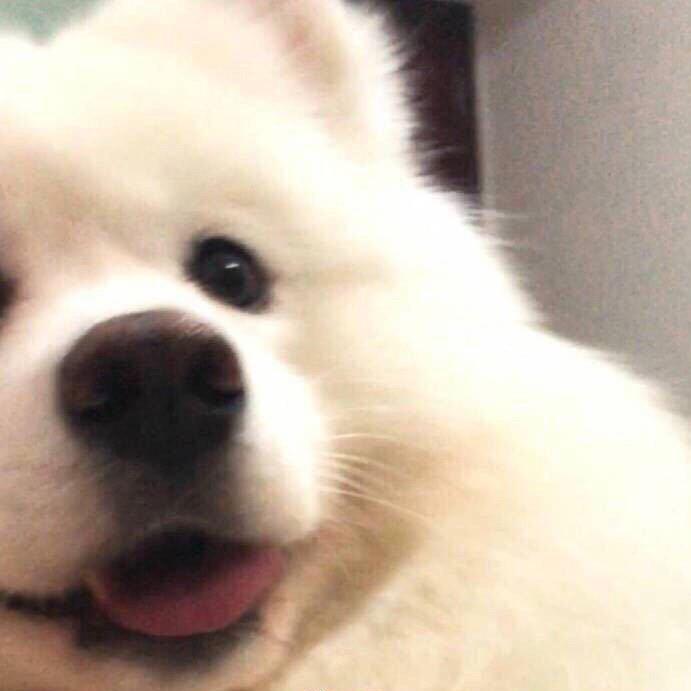 耶耶好梦🌙