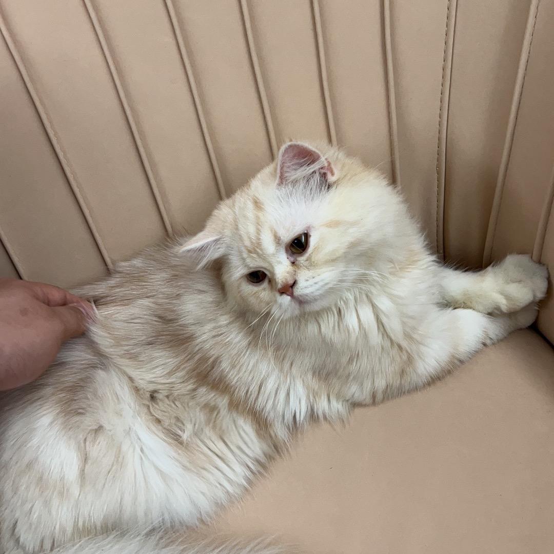 老婆最好看
