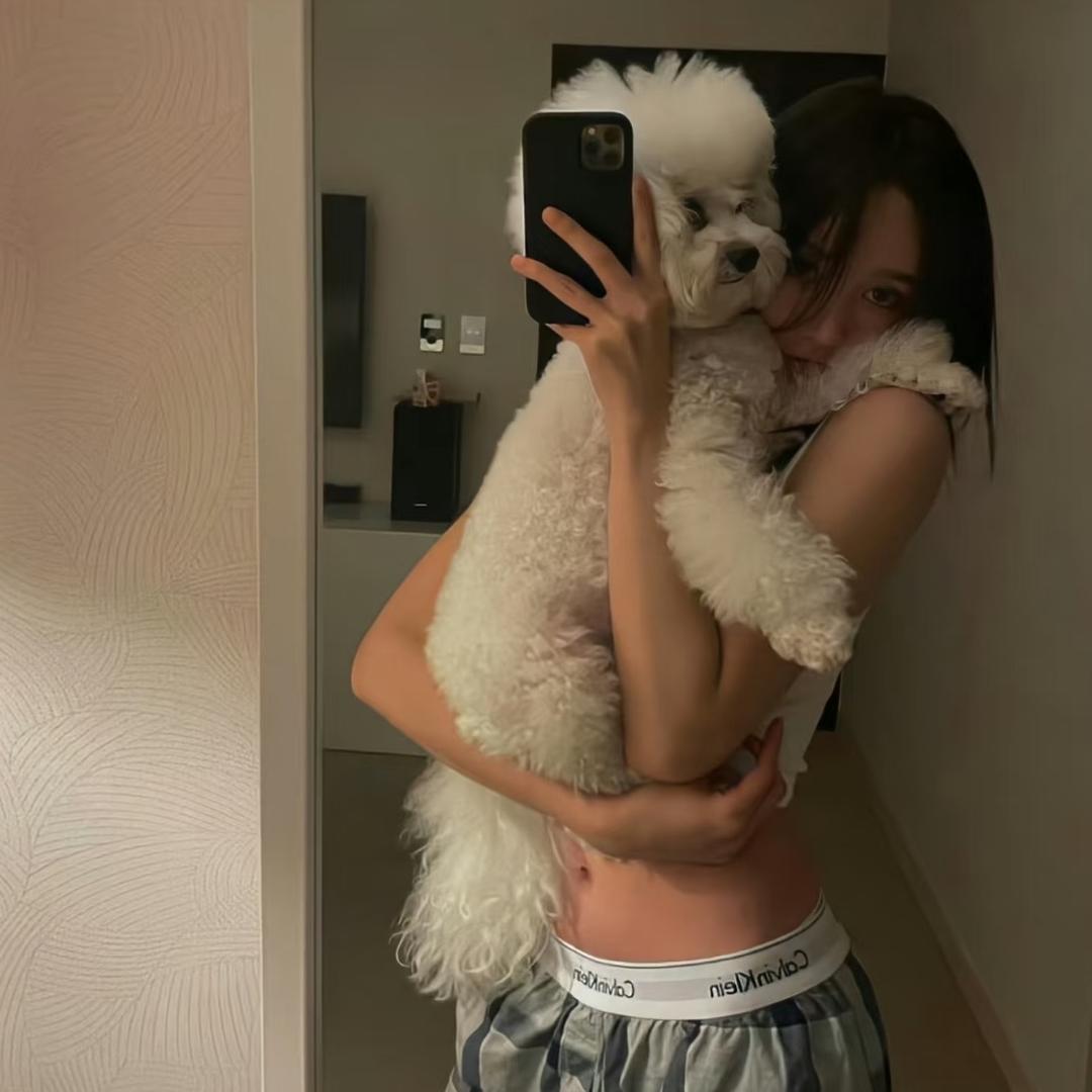 狂暴野猪猪
