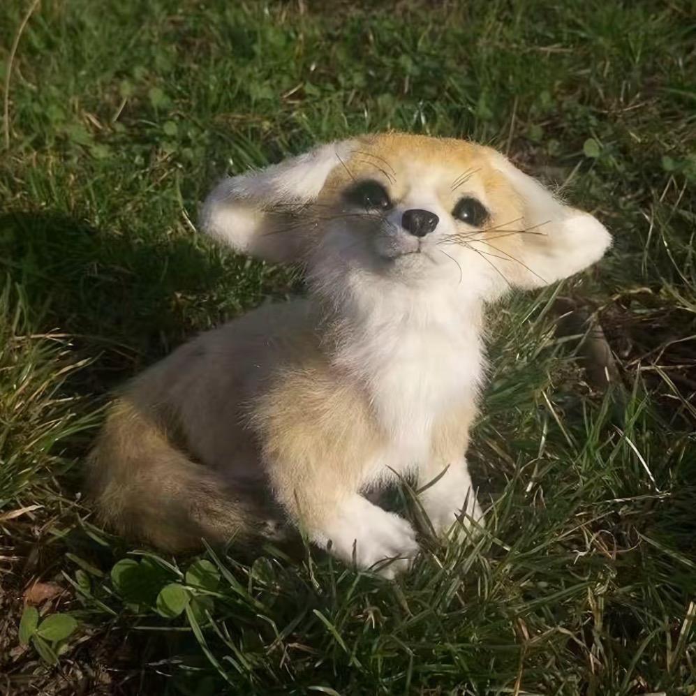 夺命乌拉苏🌾
