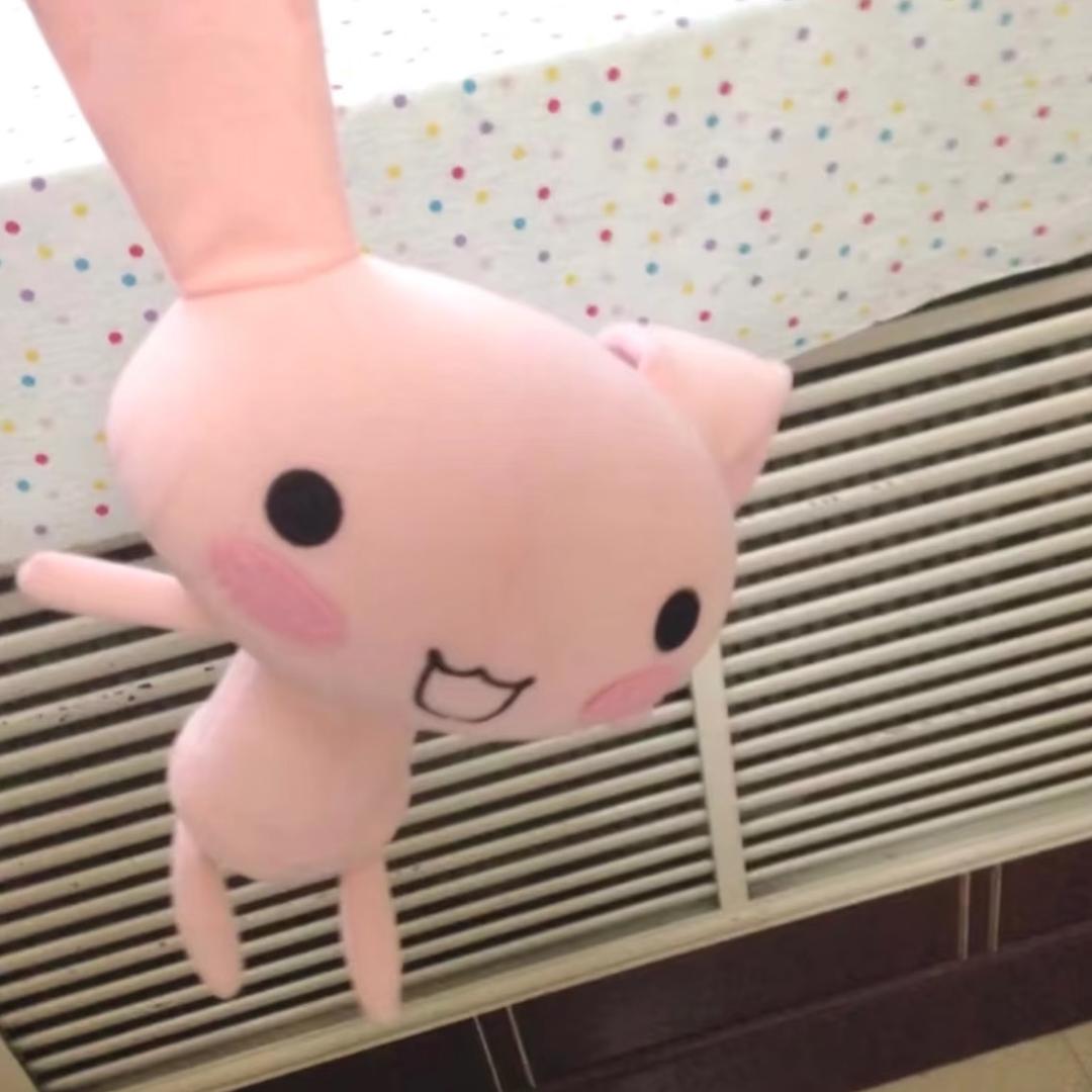 ･ᴗ･꧞