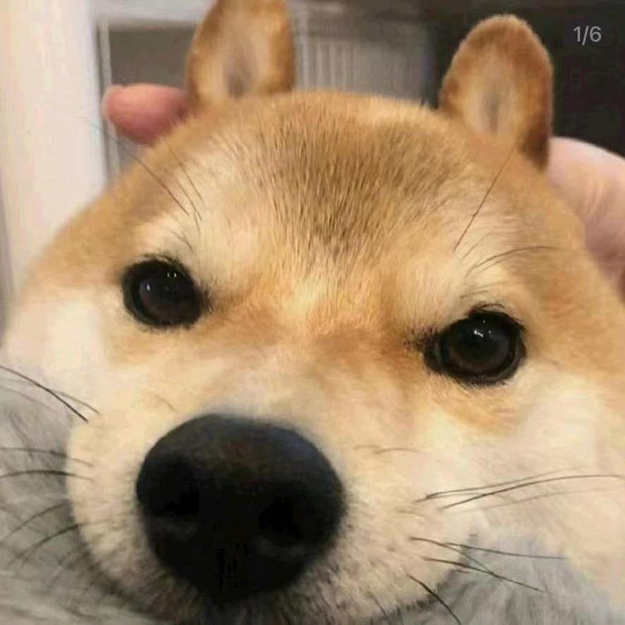 我说我是小米儿