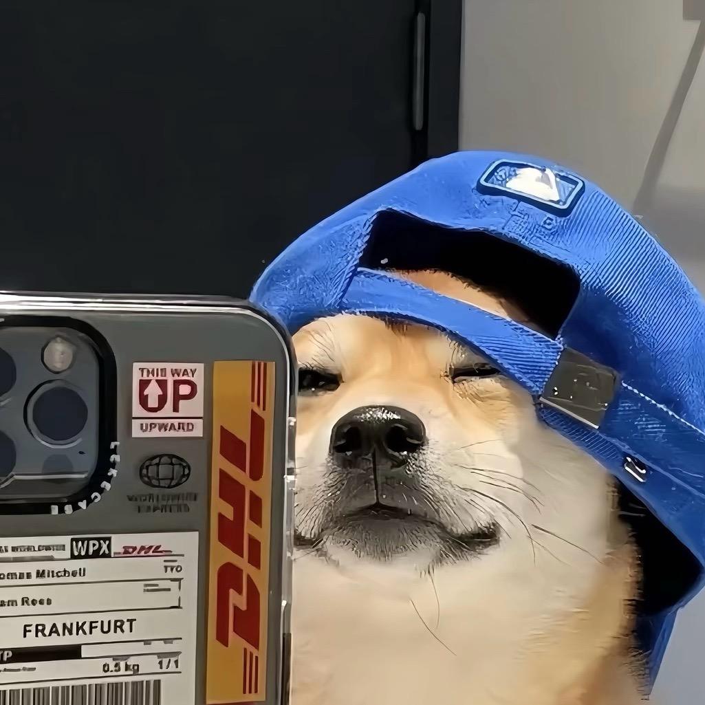 周不是🥣