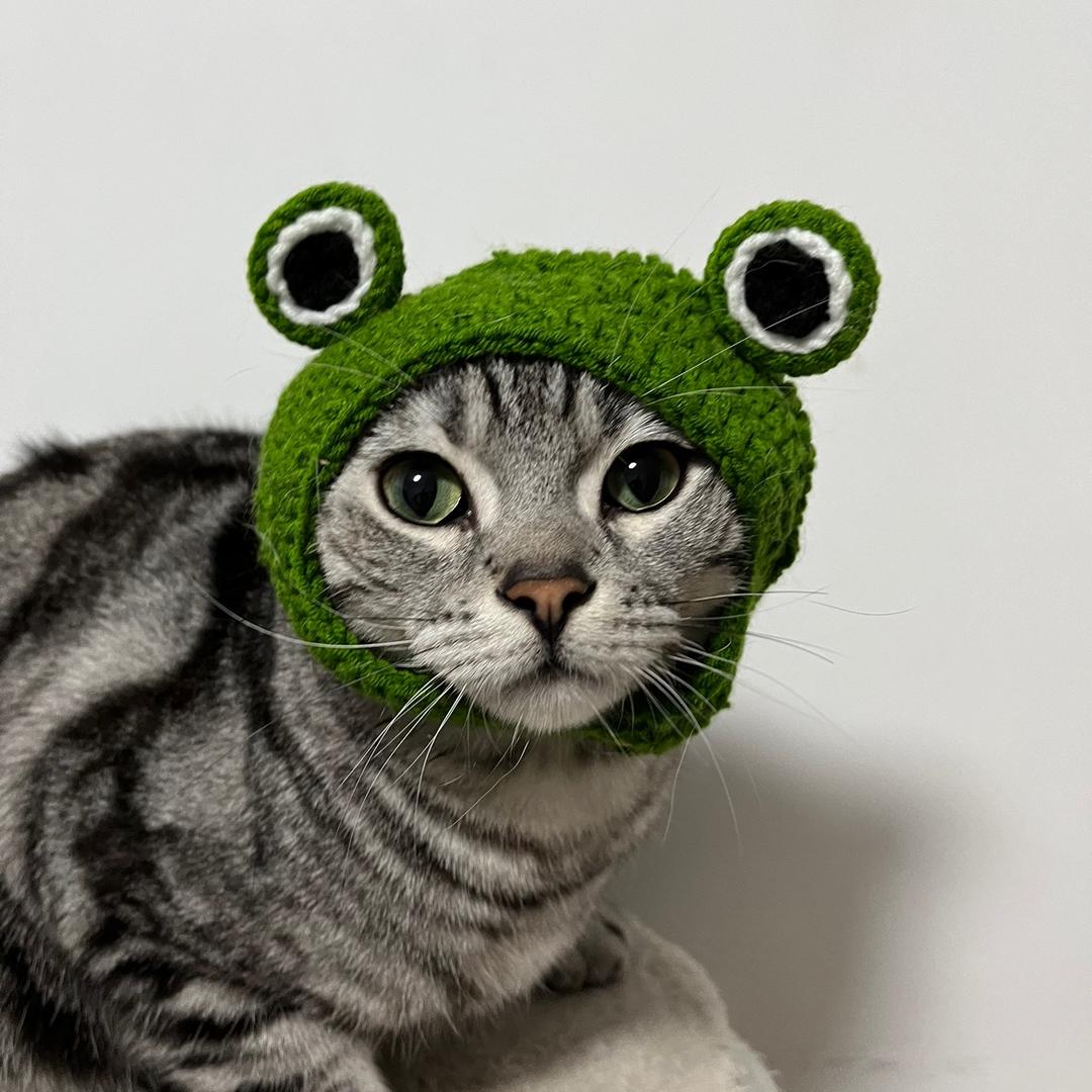 啵噗聪的妙妙屋