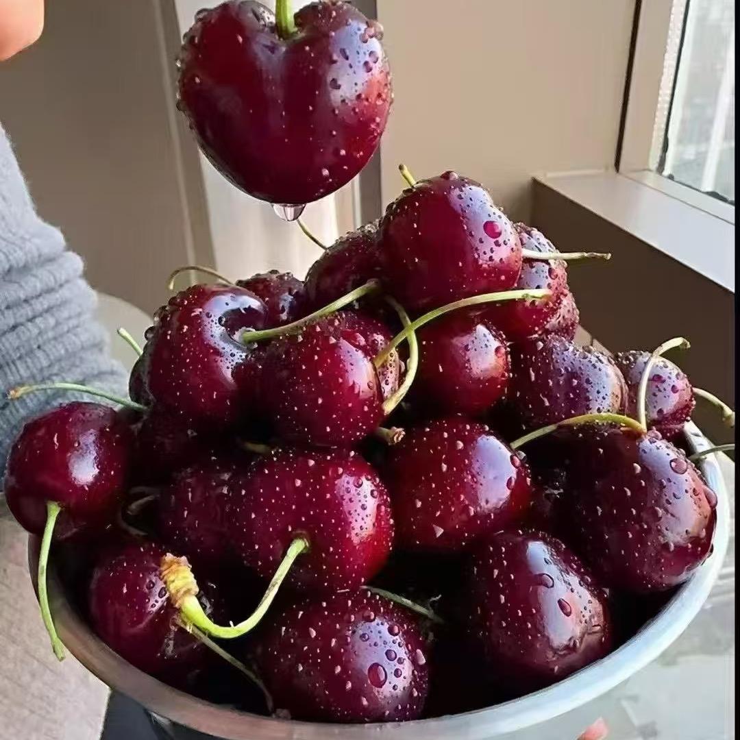 车厘子源头直发🍒