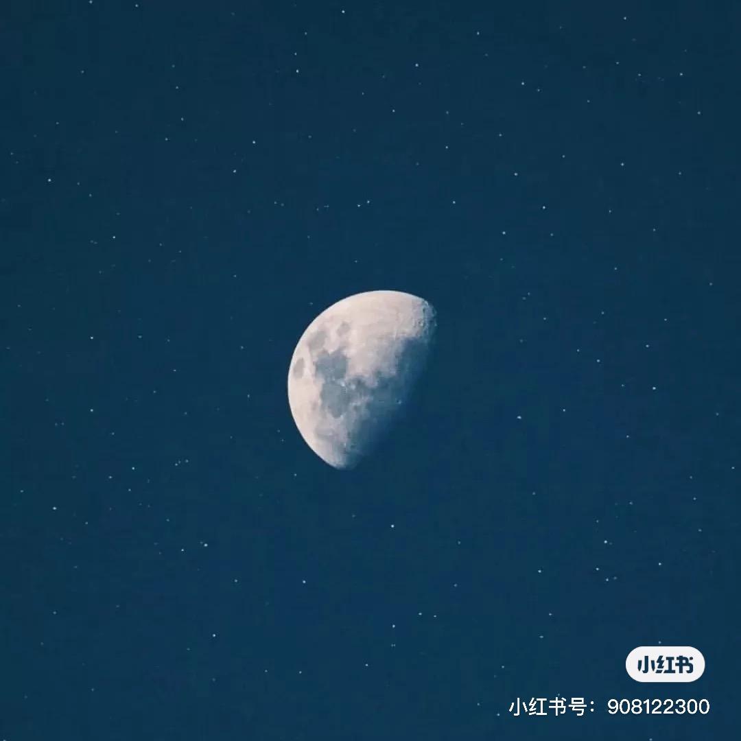 逃出计划（去看这个世界版）