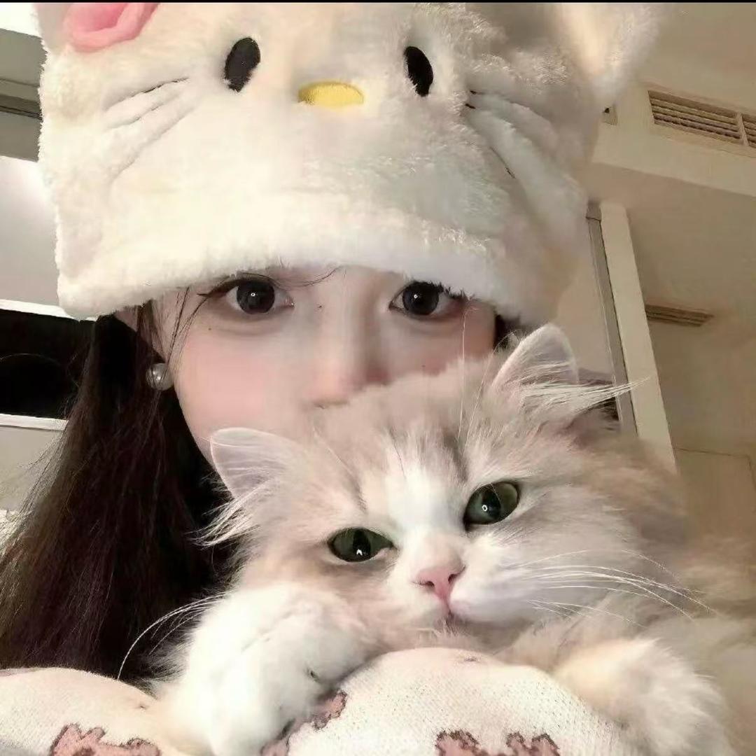 葵葵