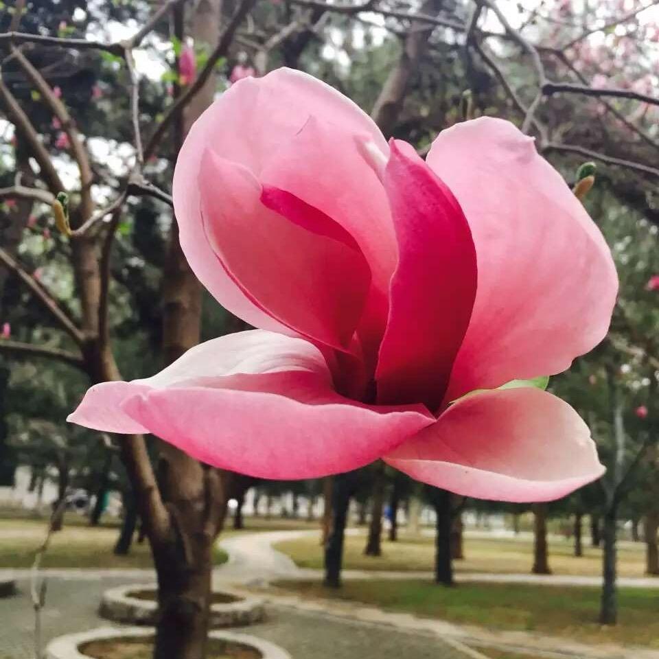 大连本地游小穆