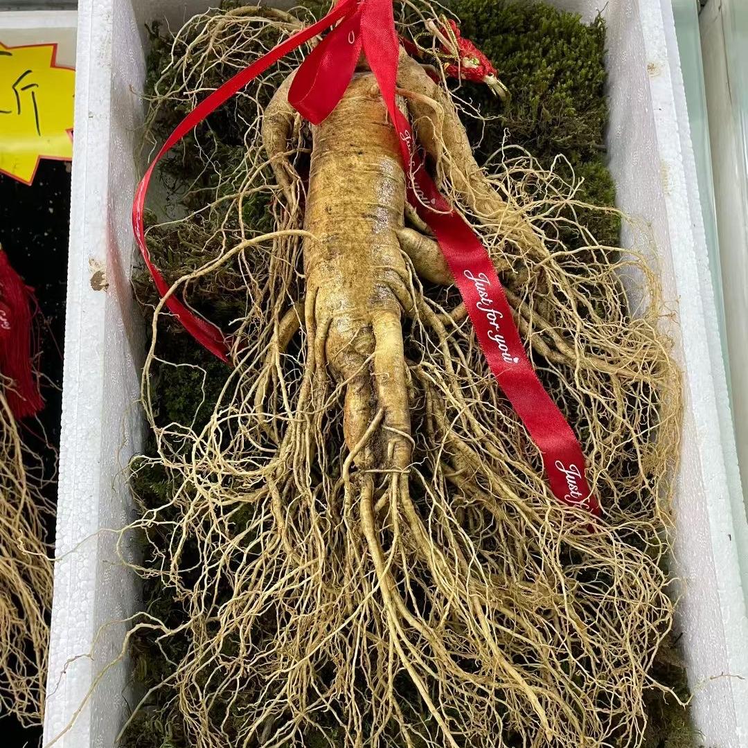 长白山铭聚滋补
