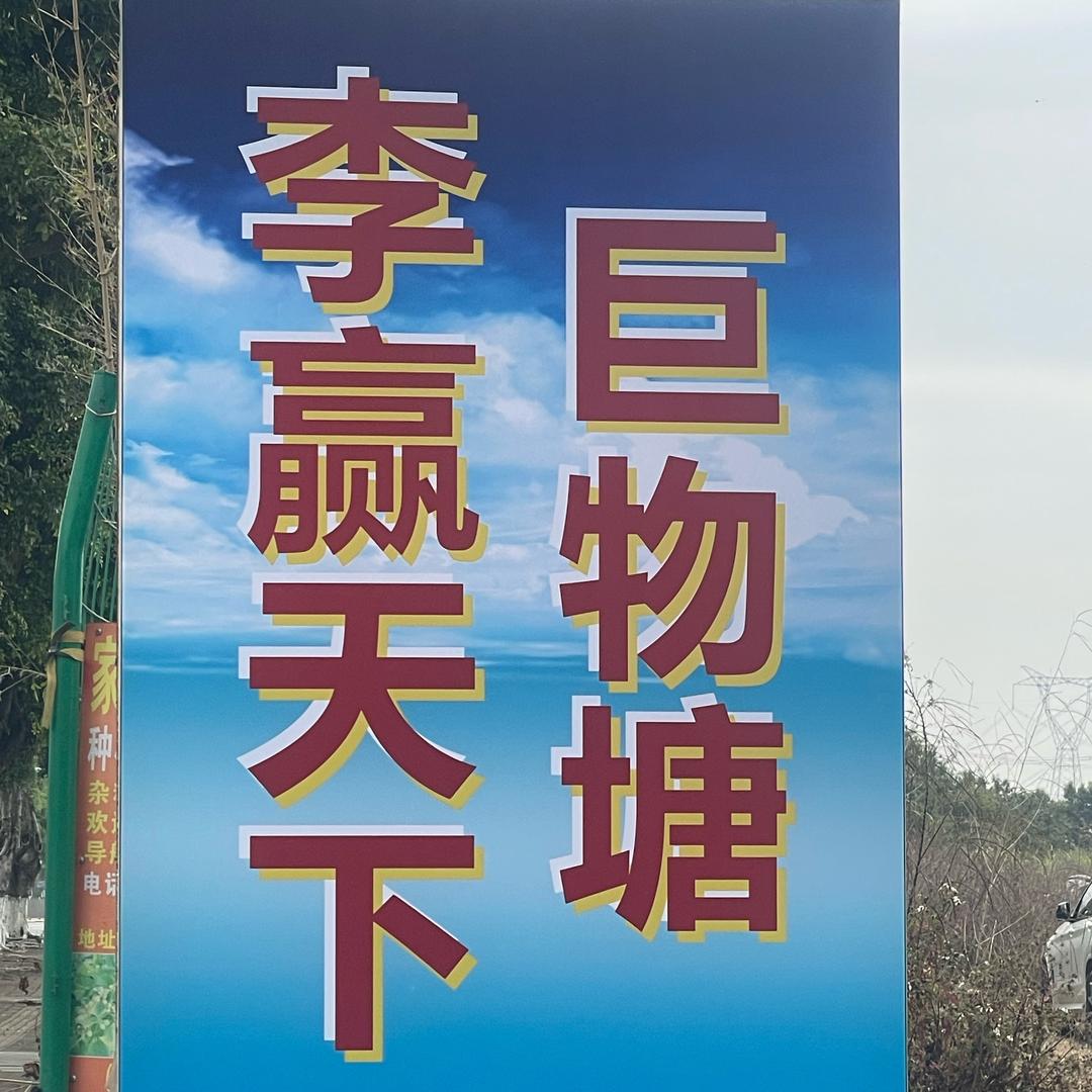 高德直接导航（李赢天下）50钓一天巨物塘