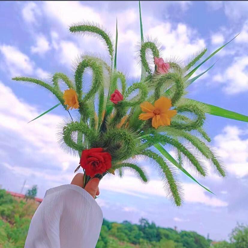 木子吖