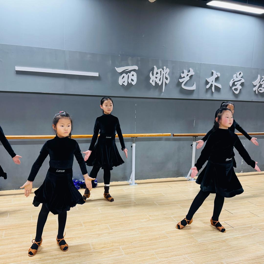 合阳县丽娜艺术培训学校有限公司