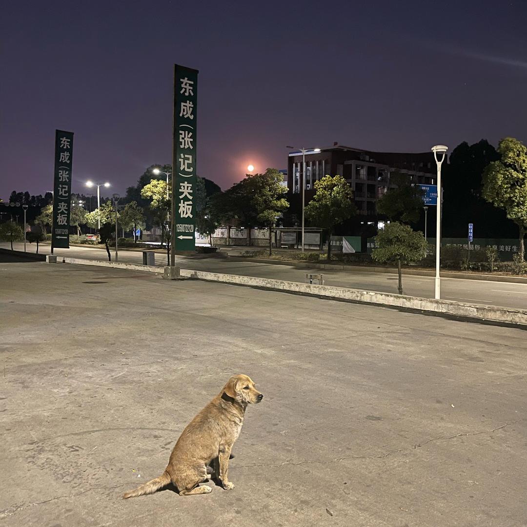 东成张记木业😇静苗
