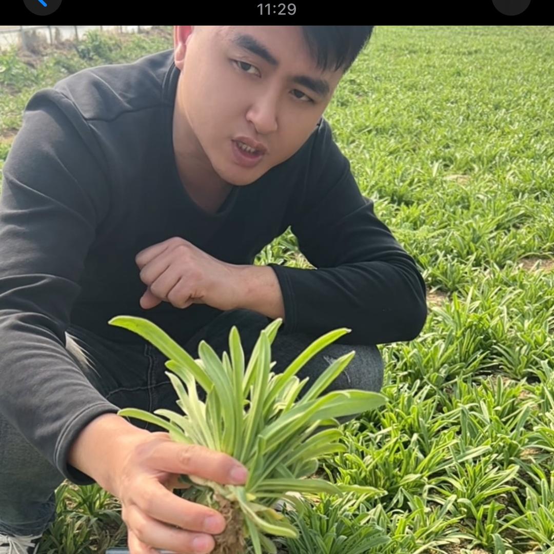 依佳生鲜