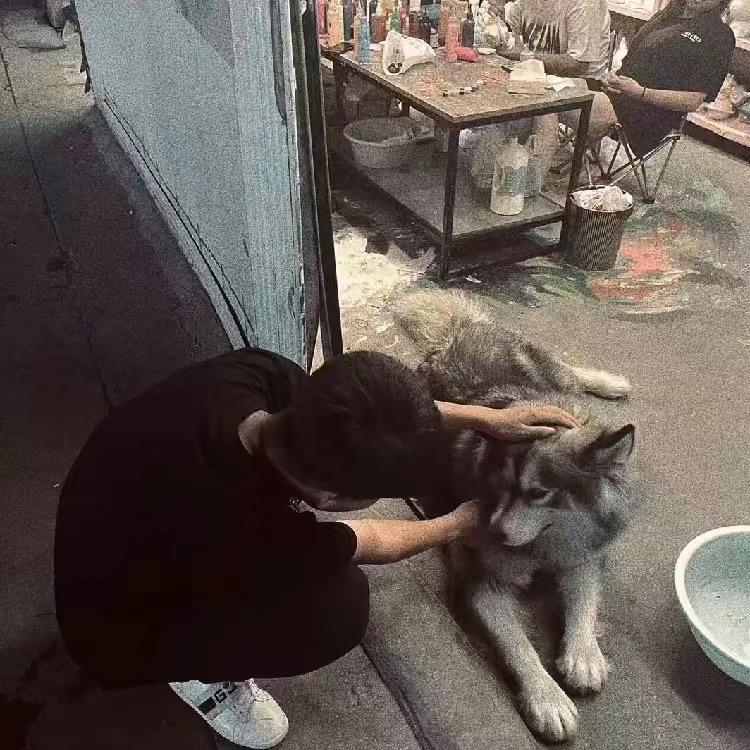 爱蹦蹦