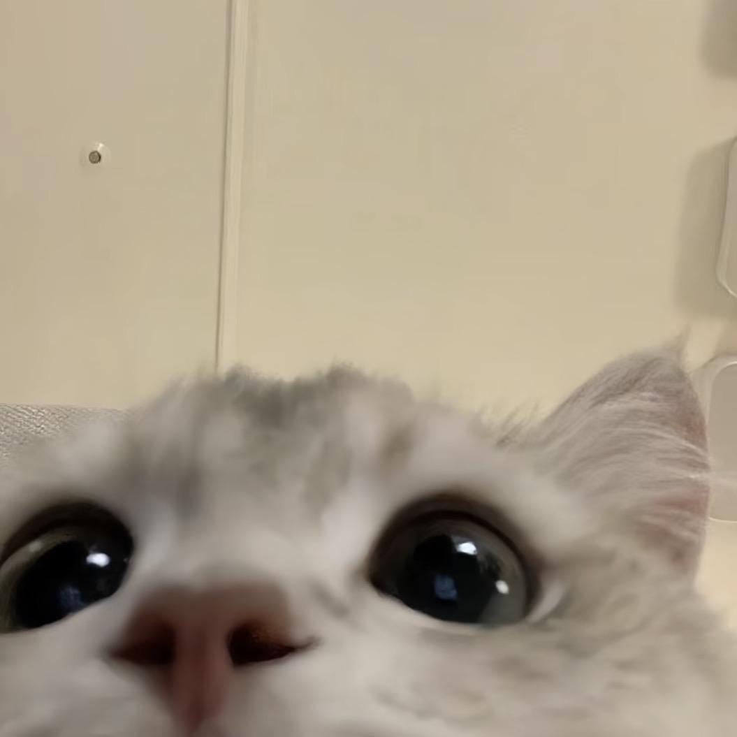 oi
