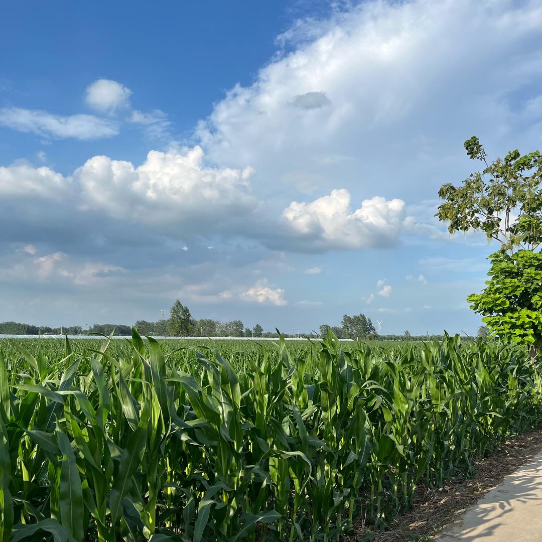 💗ℒℴѵℯ岳来岳好⁵²⁰℘࿐