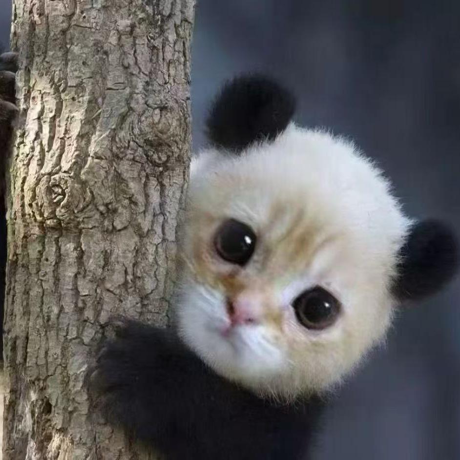 想一直做个小孩 不管大人的无奈