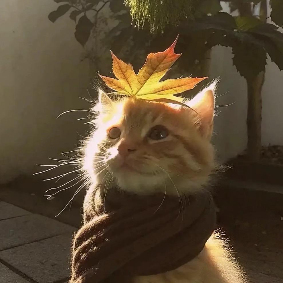 汐汐