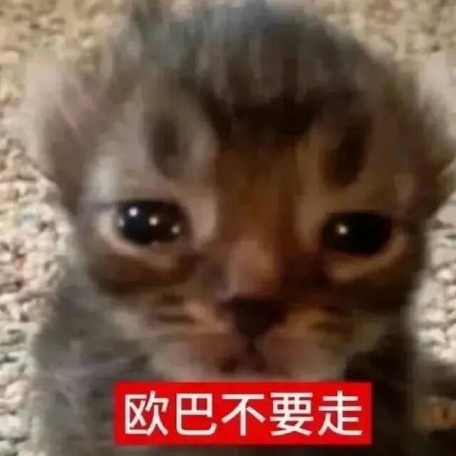 炸元宵