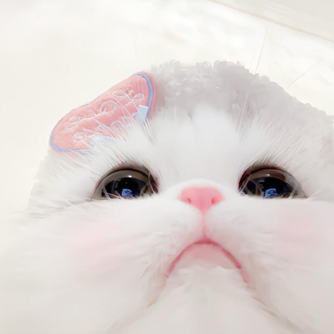 水牛