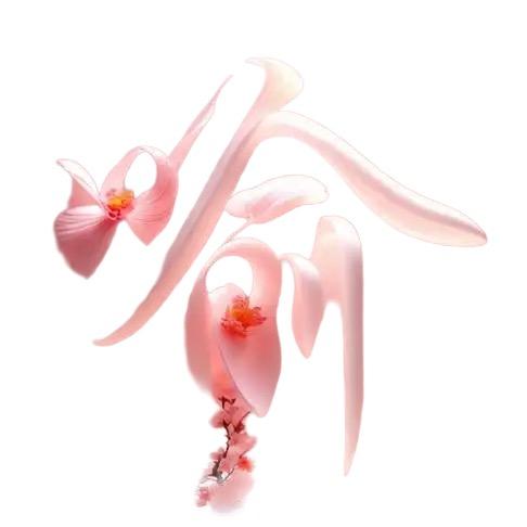 芋儿