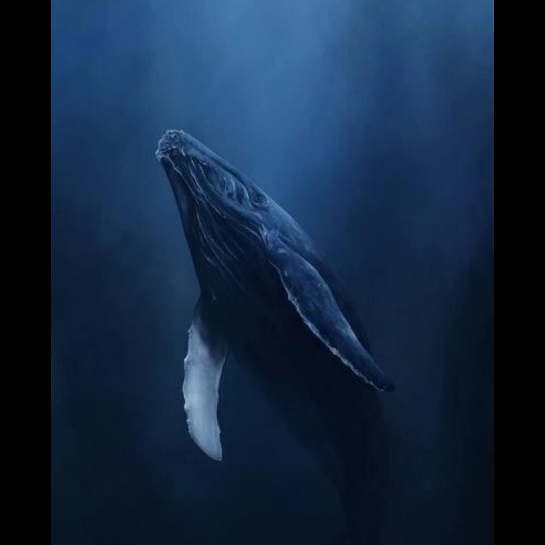 阳光明媚