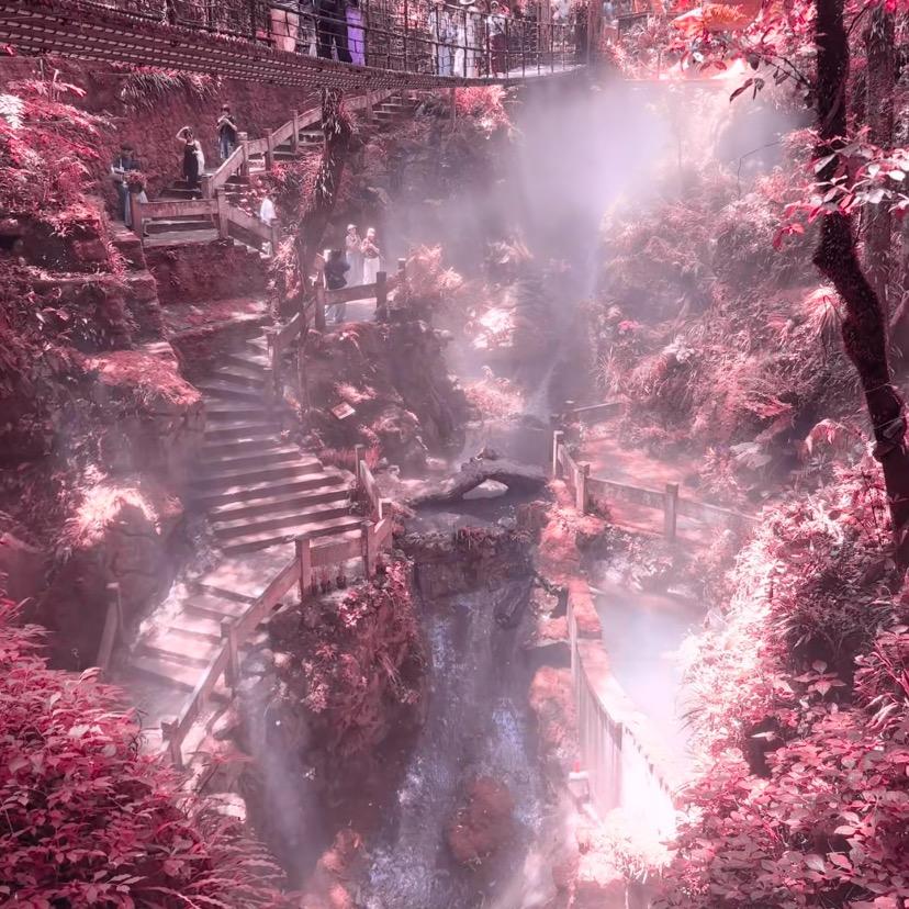 志霏霏百货